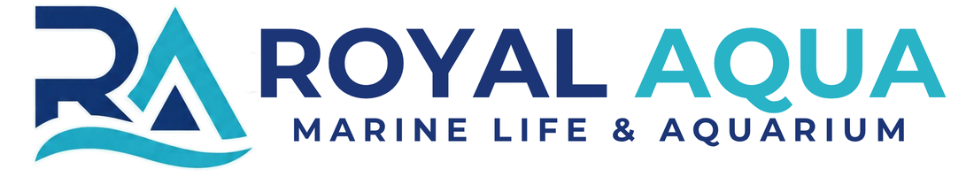 Royal Aqua — Marine Life & Aquarium