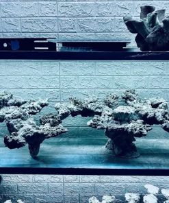 Mã 222 - Layout cho bể 150x60x60 cực đẹp chuyên chơi SPS