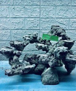 Layout mẫu mới cho bể CÁ CẢNH BIỂN 40x40x40 cực đẹp