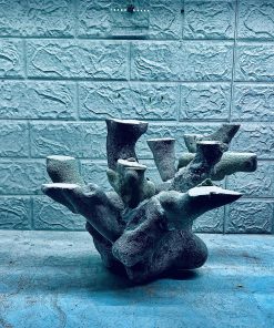 MÃ 225 - LAYOUT CHO BỂ CÁ BIỂN CUBIC 35 - 40cm - CÓ THỂ DÙNG NGAY