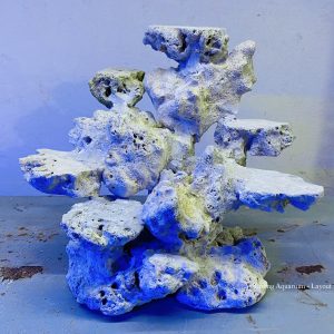 MÃ 03 - LAYOUT CÁ CẢNH BIỂN BỂ 35CM -  ROYALAQUA