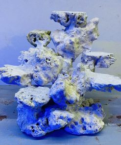 MÃ 03 - LAYOUT CÁ CẢNH BIỂN BỂ 35CM -  ROYALAQUA