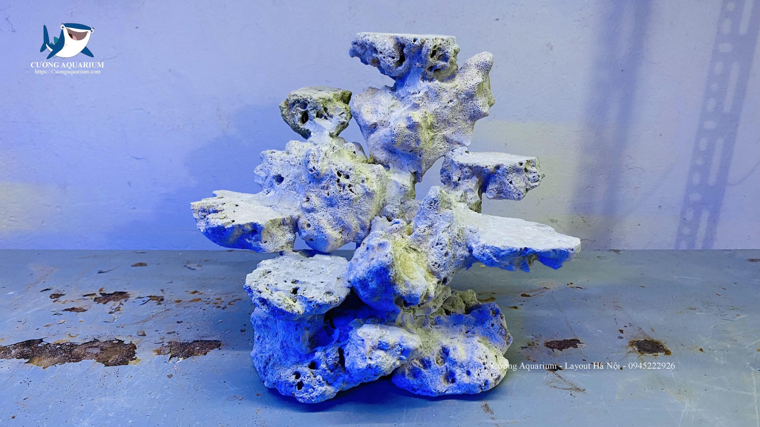 be-ca-canh-bien (10) - Copy