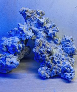 MÃ 04 - LAYOUT CÁ CẢNH BIỂN BỂ 40CM - ROYALAQUA