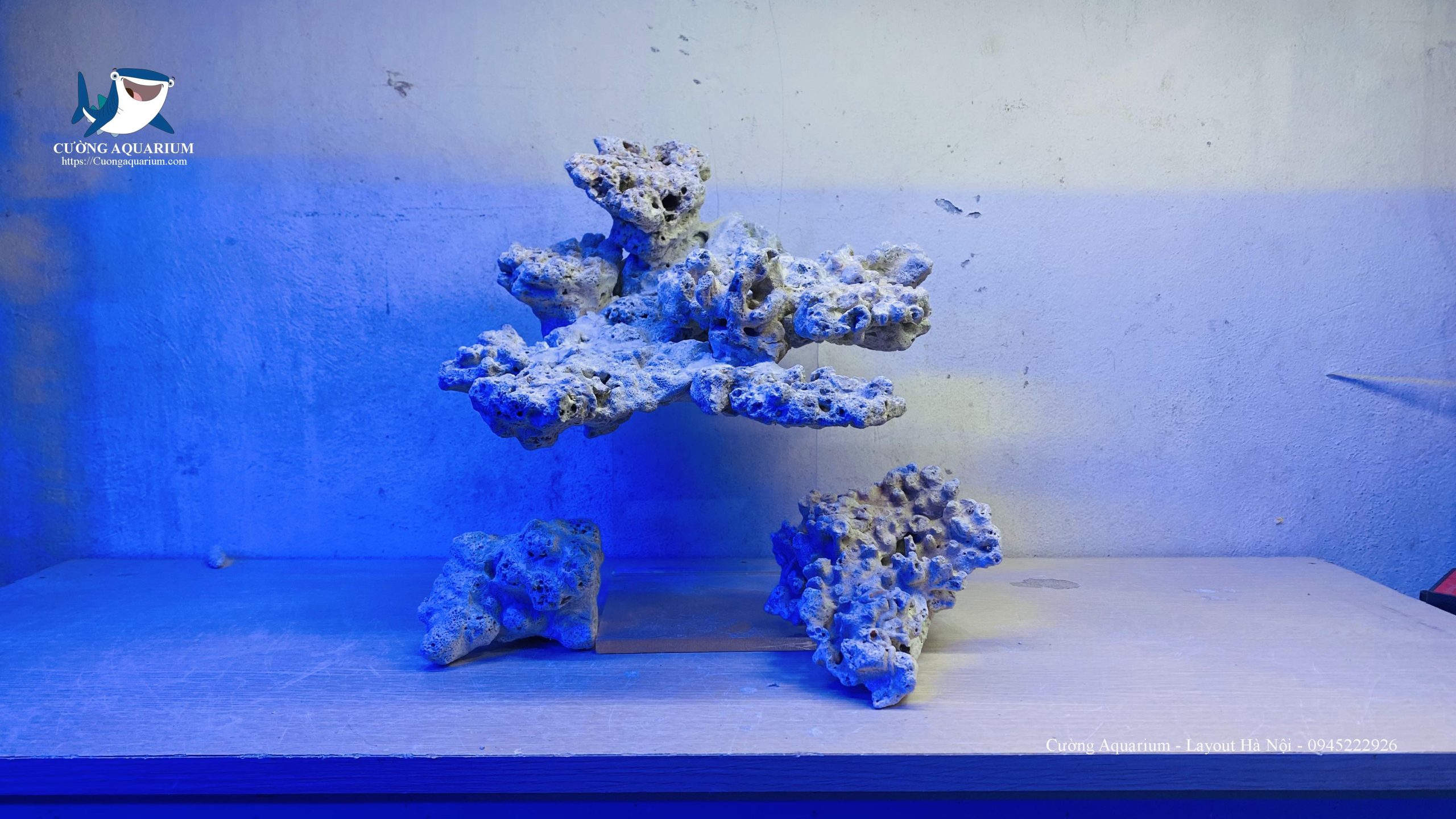 be-ca-canh-bien (29) - Copy