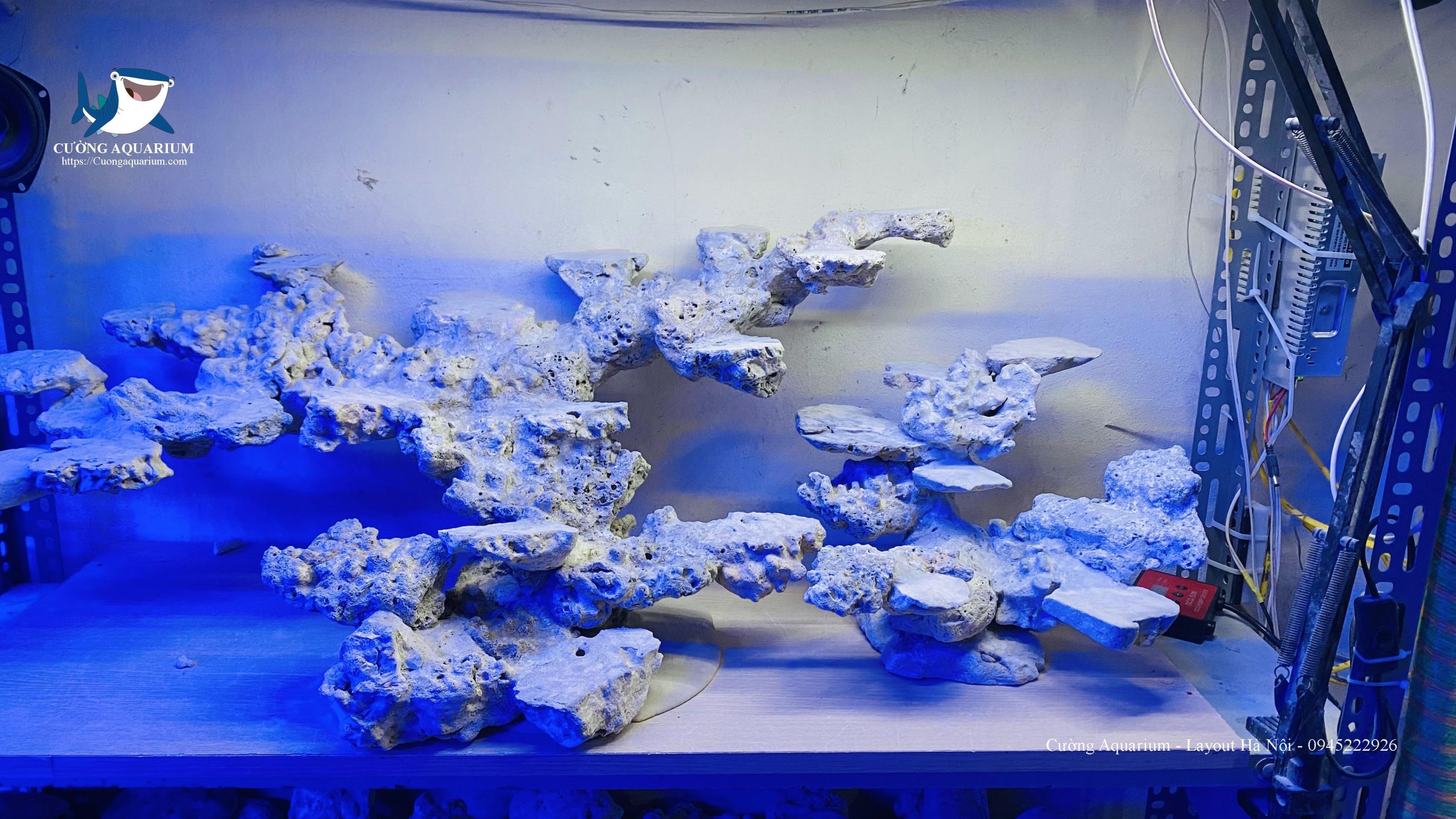 be-ca-canh-bien (31)