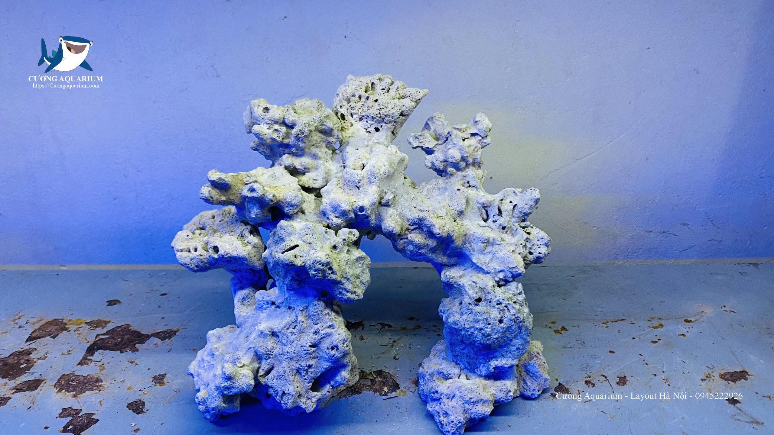 be-ca-canh-bien (36)