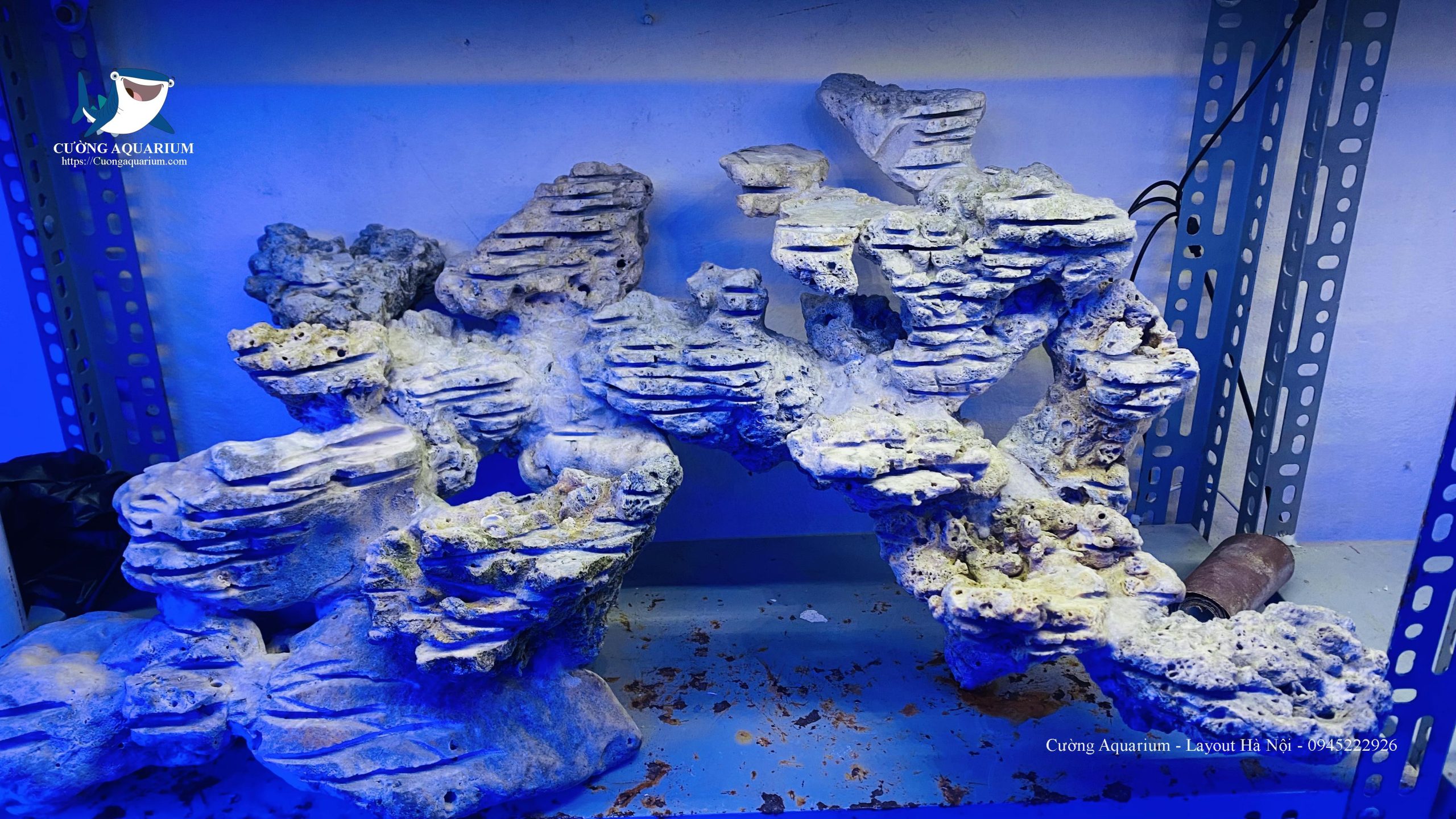 be-ca-canh-bien (43)