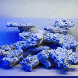 MÃ 13 - LAYOUT CÁ CẢNH BIỂN BỂ 40CM - ROYALAQUA