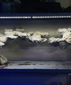 MÃ 17 - LAYOUT CÁ CẢNH BIỂN BỂ 170CM - ROYALAQUA