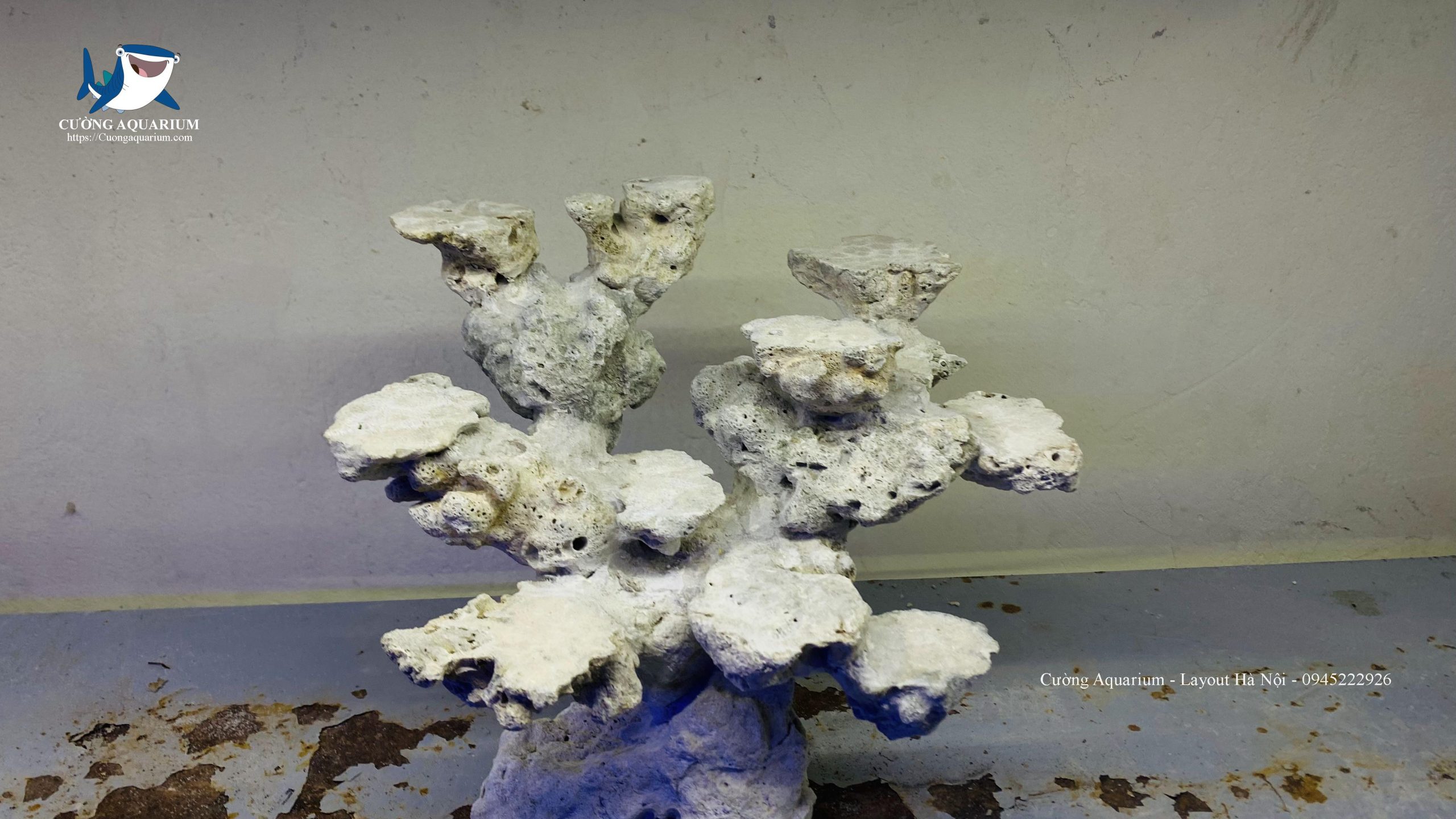 ca-canh-bien-dep (14)