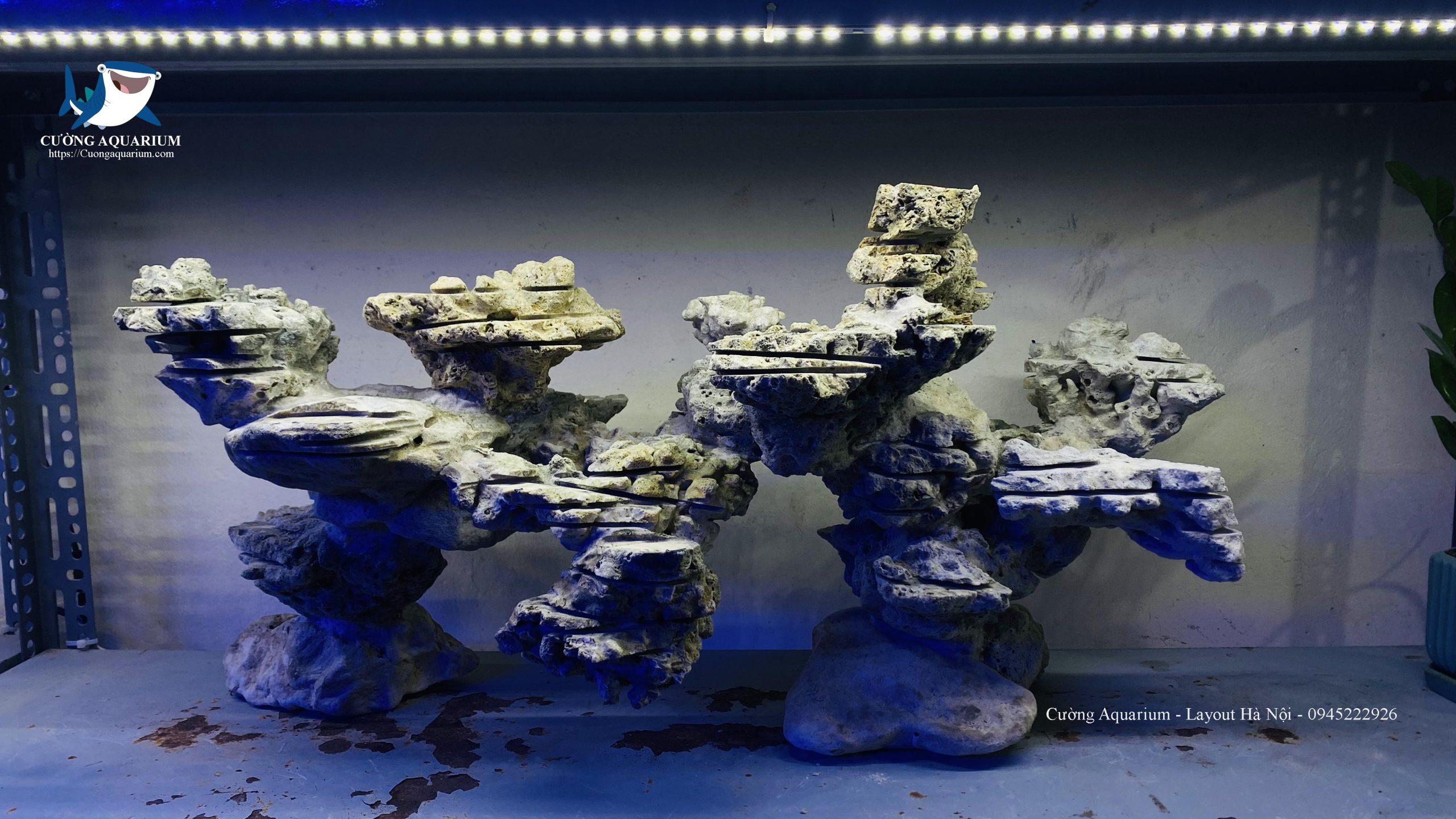 ca-canh-bien-dep (31)