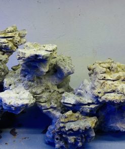 MÃ 32 - LAYOUT CÁ BIỂN BỂ 60CM - ROYALAQUA