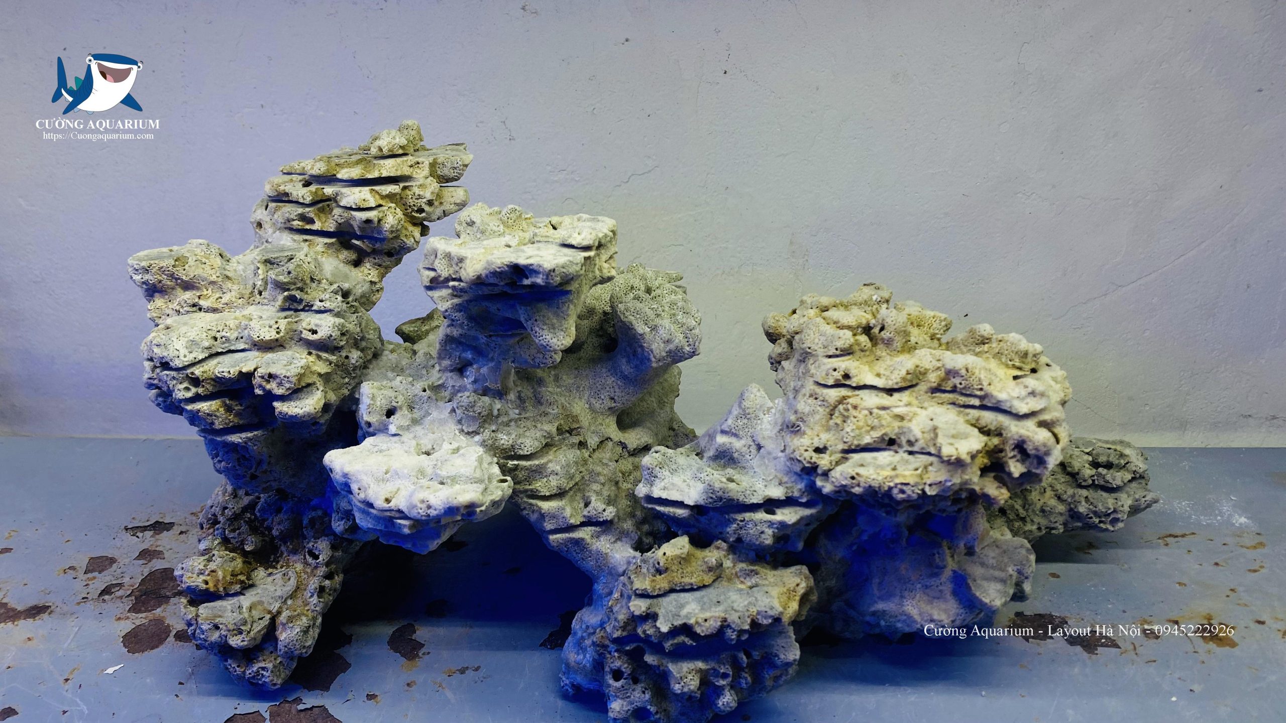 ca-canh-bien-dep (43)