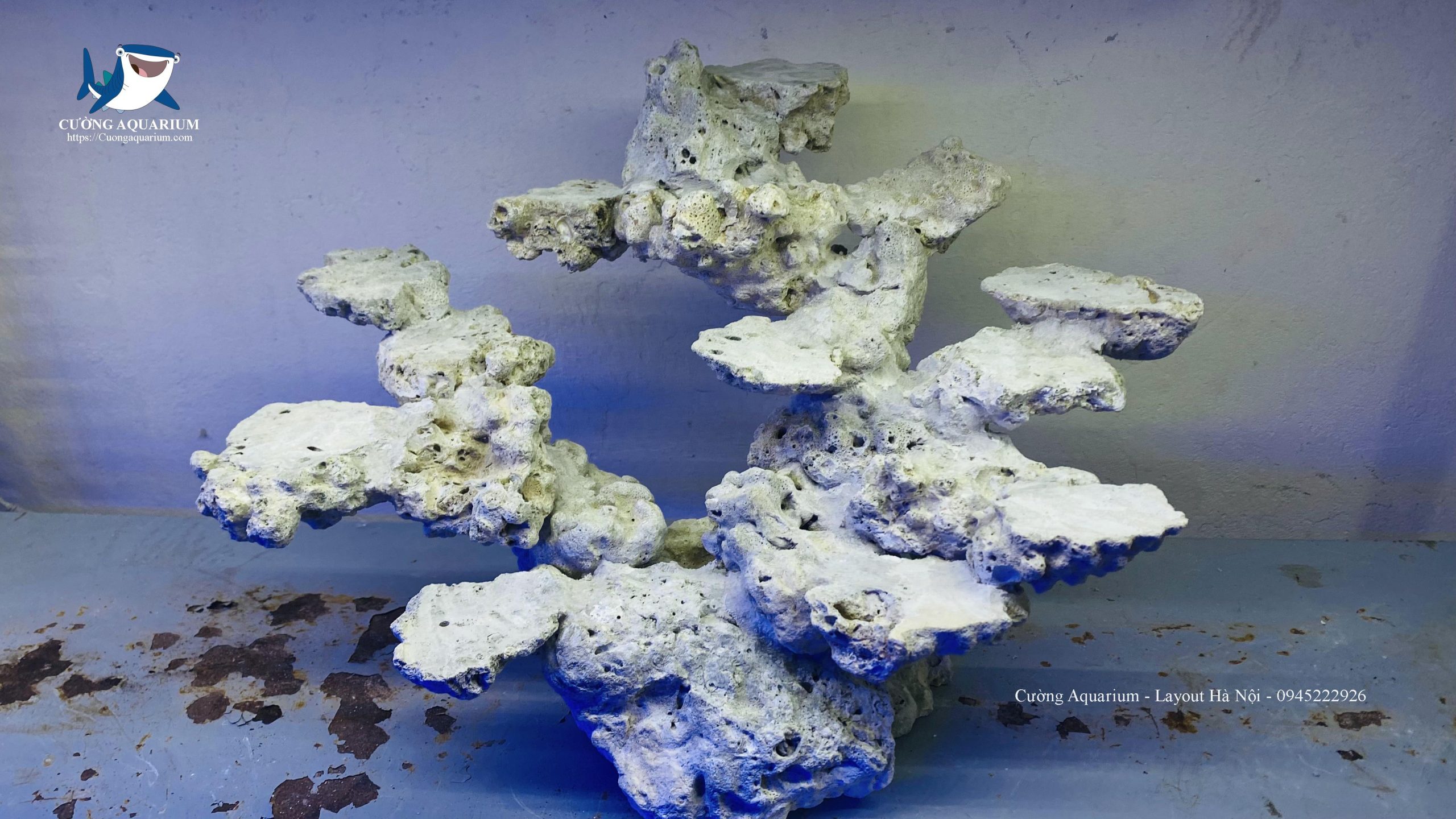 ca-canh-bien-dep (45)