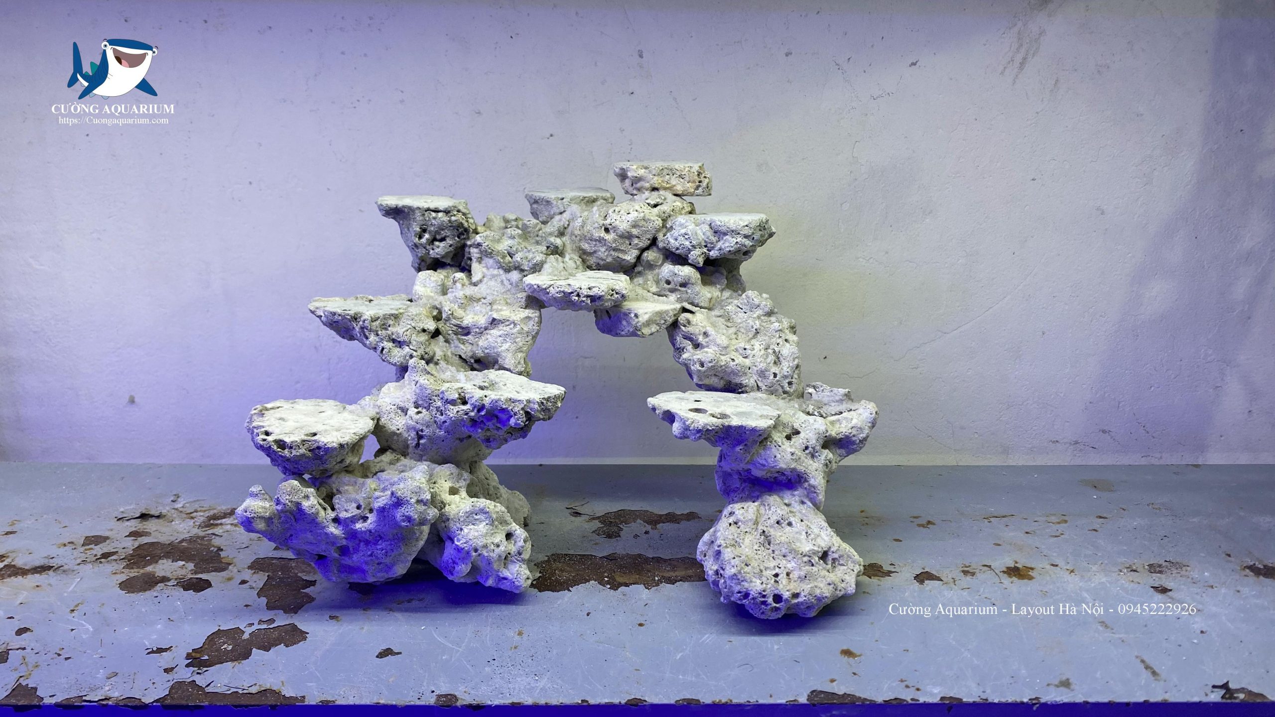 ca-canh-bien-dep (57)