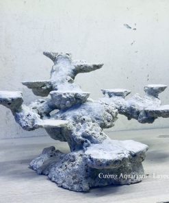 MÃ 38 - LAYOUT CÁ BIỂN BỂ 40CM - ROYALAQUA