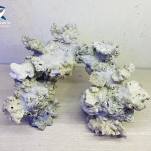 MÃ 43 - LAYOUT CÁ BIỂN BỂ 40CM - ROYALAQUA