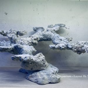 MÃ 45 - LAYOUT CÁ BIỂN BỂ 60CM - ROYALAQUA
