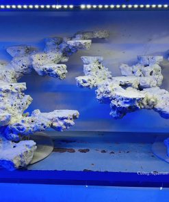 MÃ 52 - LAYOUT CÁ BIỂN BỂ 150CM - ROYALAQUA