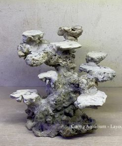 MÃ 39 - LAYOUT CÁ CẢNH BIỂN BỂ 40CM - ROYALAQUA