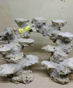 MÃ 59 - LAYOUT CÁ BIỂN BỂ 40CM - ROYALAQUA