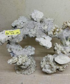 MÃ 60 - LAYOUT CÁ BIỂN BỂ 40CM - ROYALAQUA