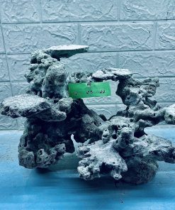 MÃ 284 - LAYOUT CÁ CẢNH BIỂN BỂ 40CM - ROYALAQUA