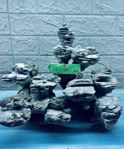 MÃ 285 - LAYOUT CÁ CẢNH BIỂN BỂ 40CM - ROYALAQUA