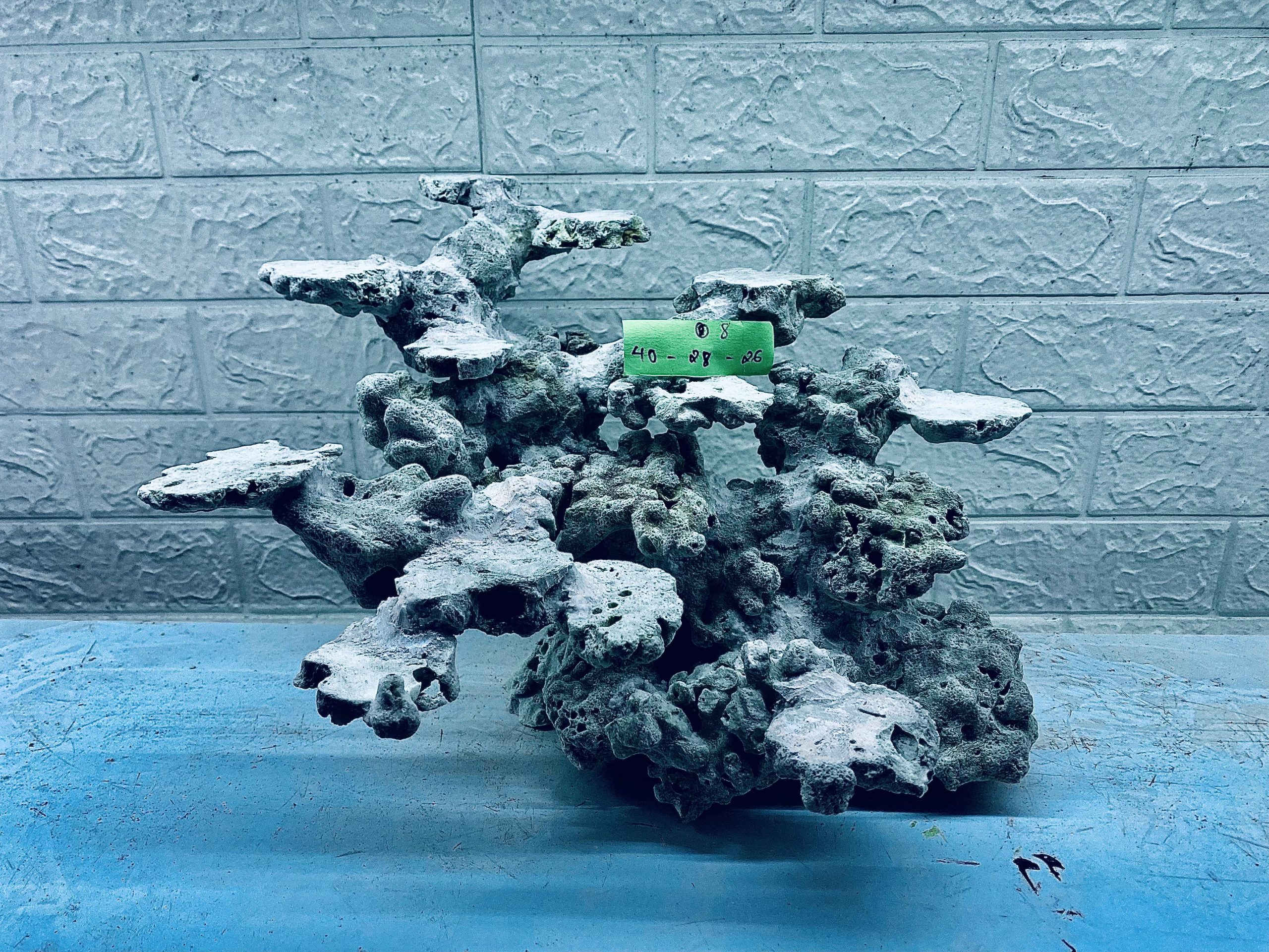 layout-ca-bien-royalaqua (107)