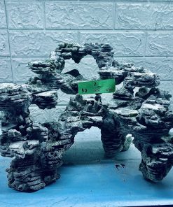 MÃ 289 - LAYOUT CÁ CẢNH BIỂN BỂ 50CM - ROYALAQUA