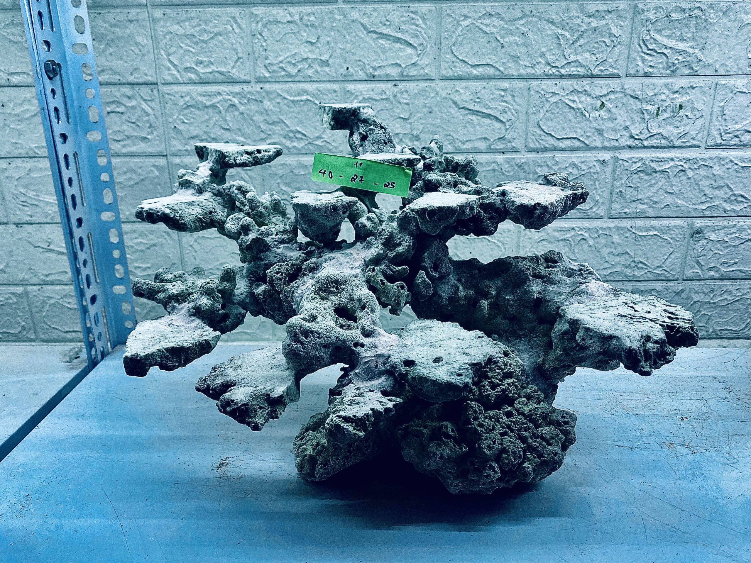 layout-ca-bien-royalaqua (110)