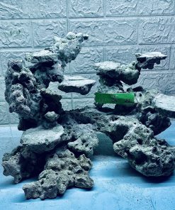 MÃ 291 - LAYOUT CÁ CẢNH BIỂN BỂ 50CM - ROYALAQUA