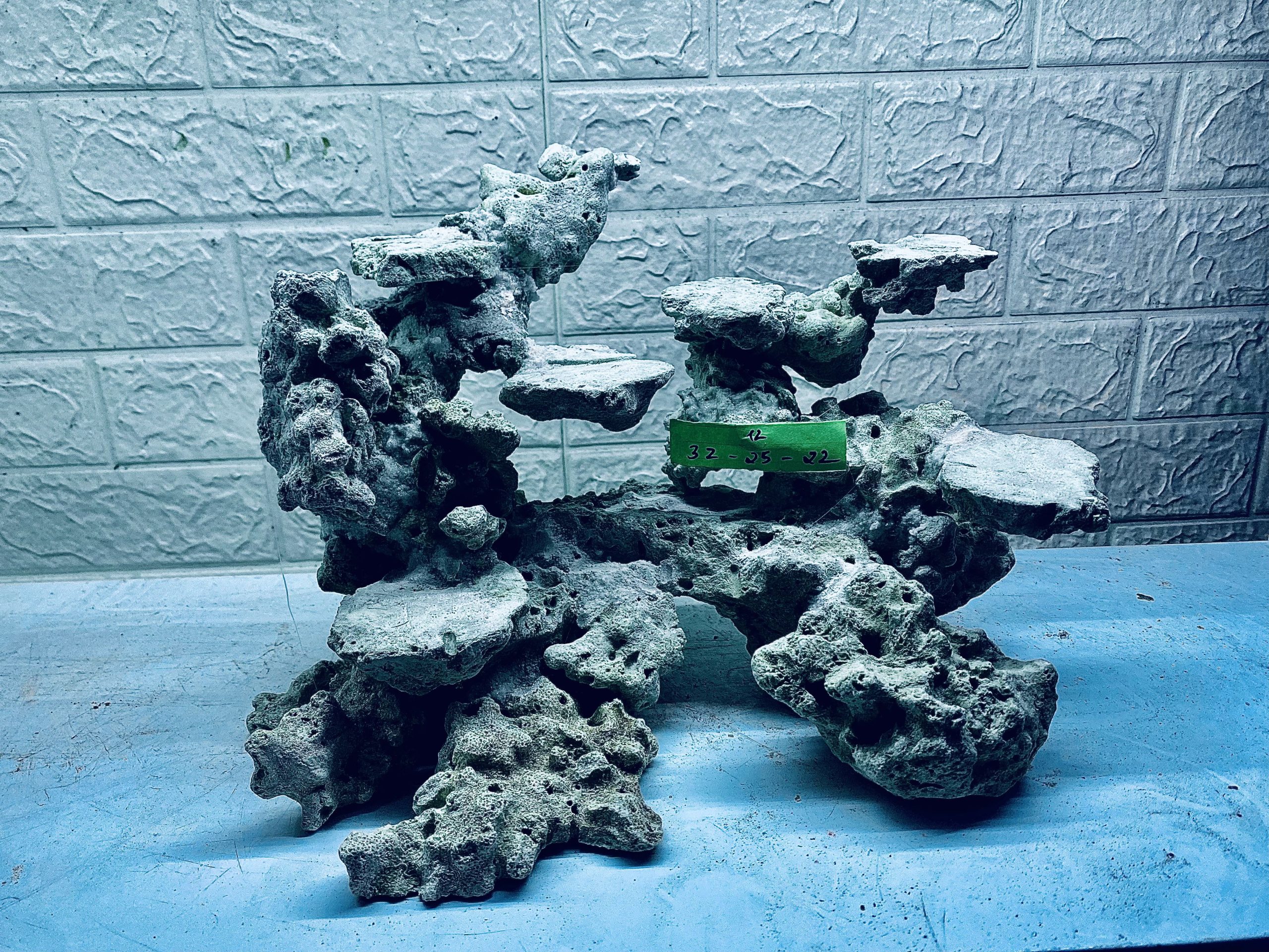 layout-ca-bien-royalaqua (111)