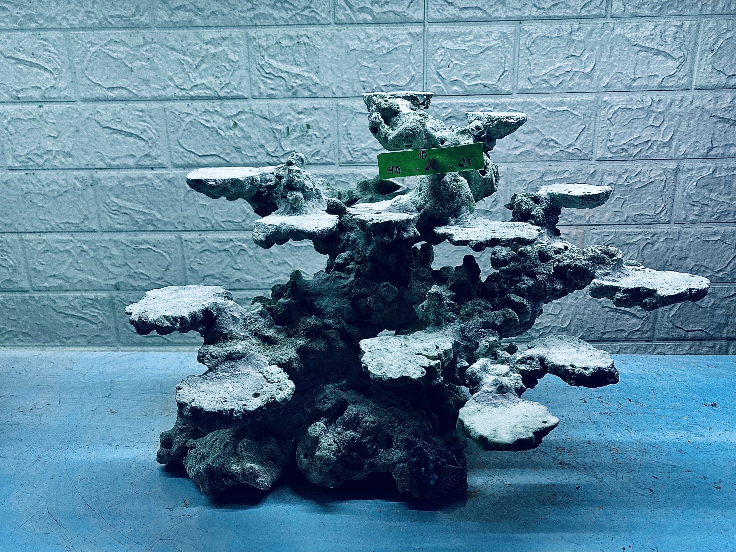 layout-ca-bien-royalaqua (112)