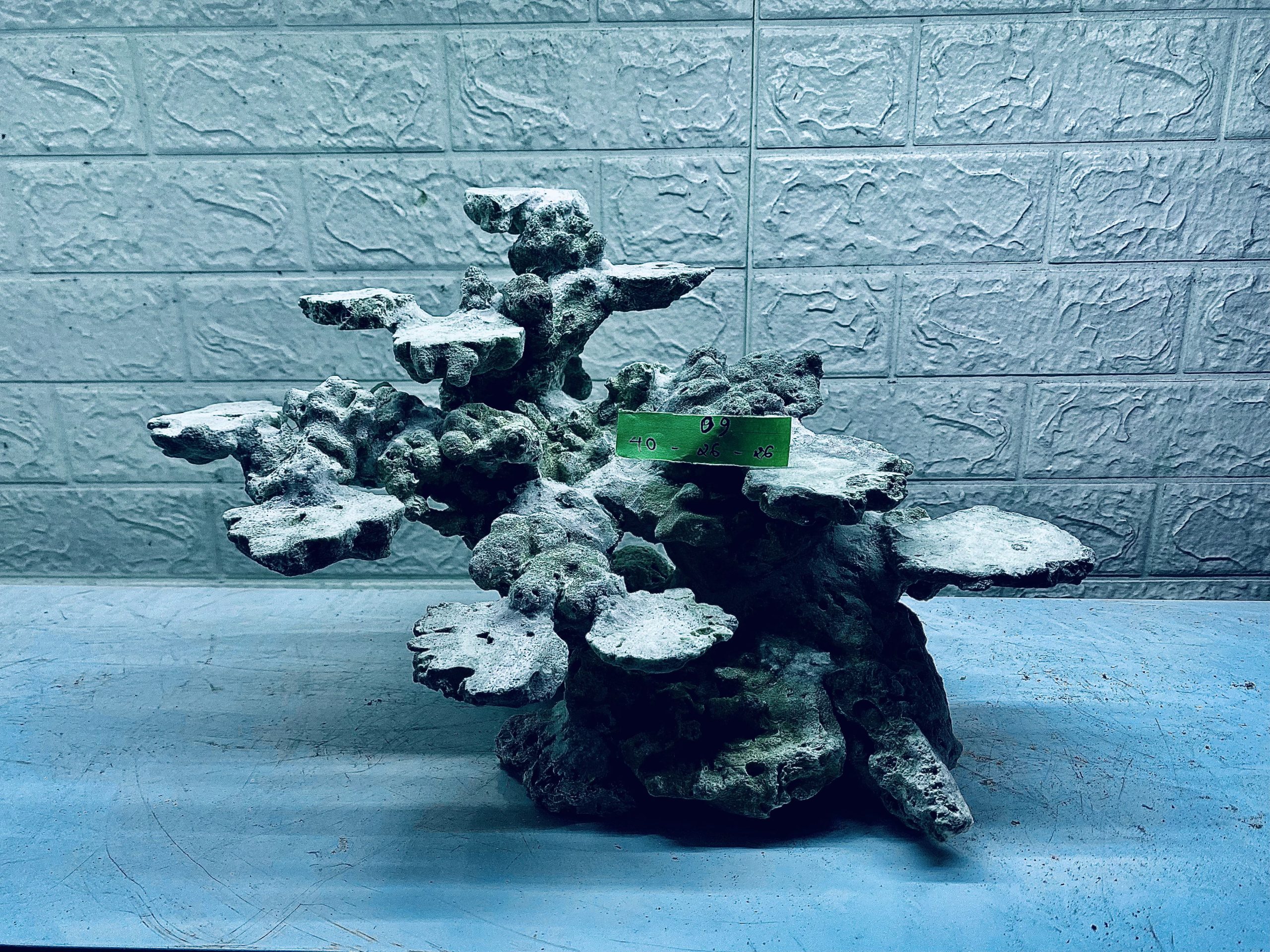 layout-ca-bien-royalaqua (114)