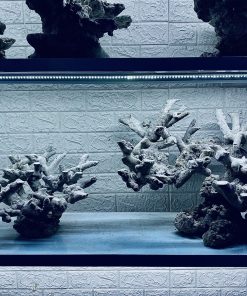 MÃ 296 - LAYOUT CÁ CẢNH BIỂN BỂ 140CM - ROYALAQUA