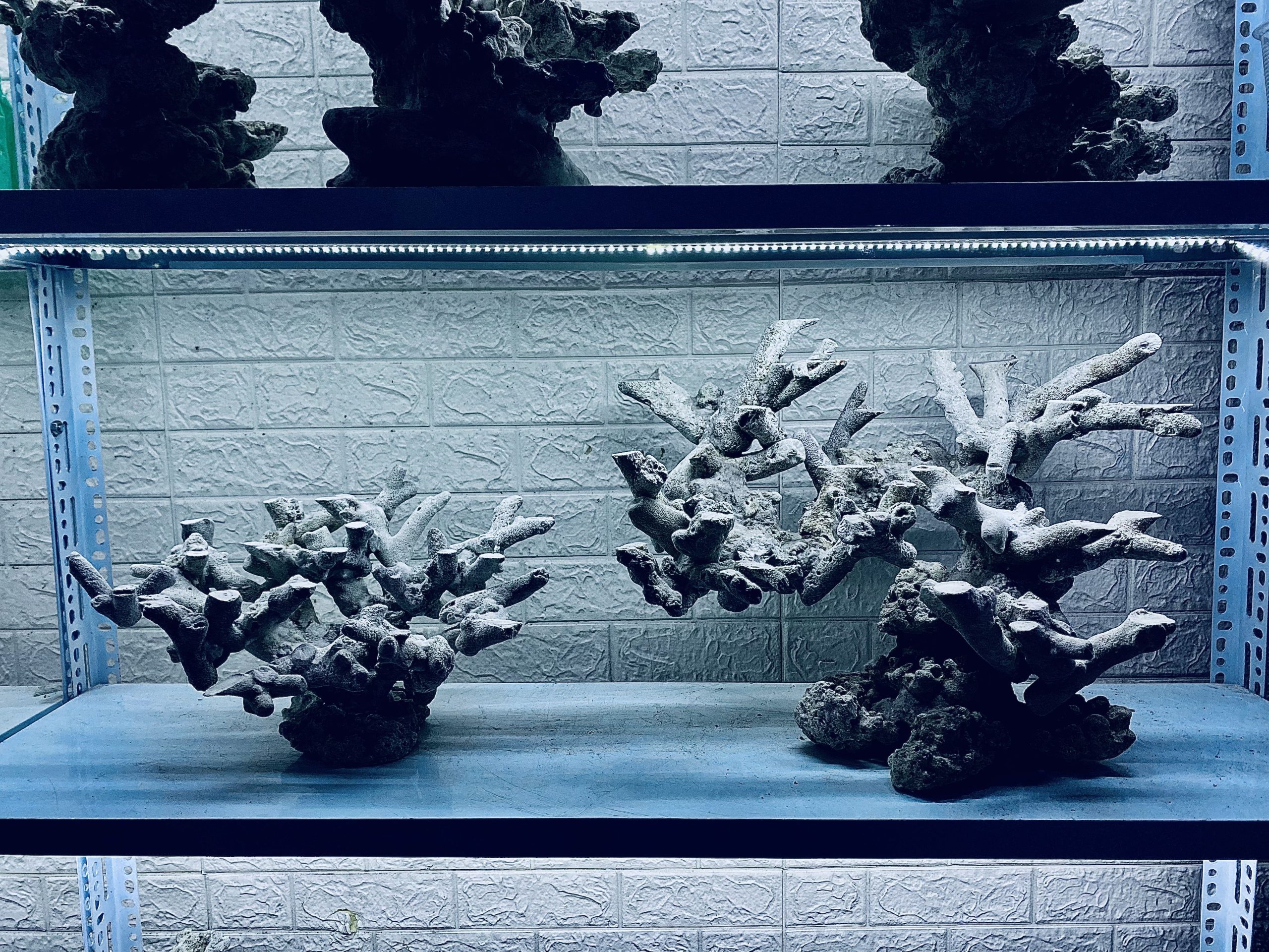 layout-ca-bien-royalaqua (117)