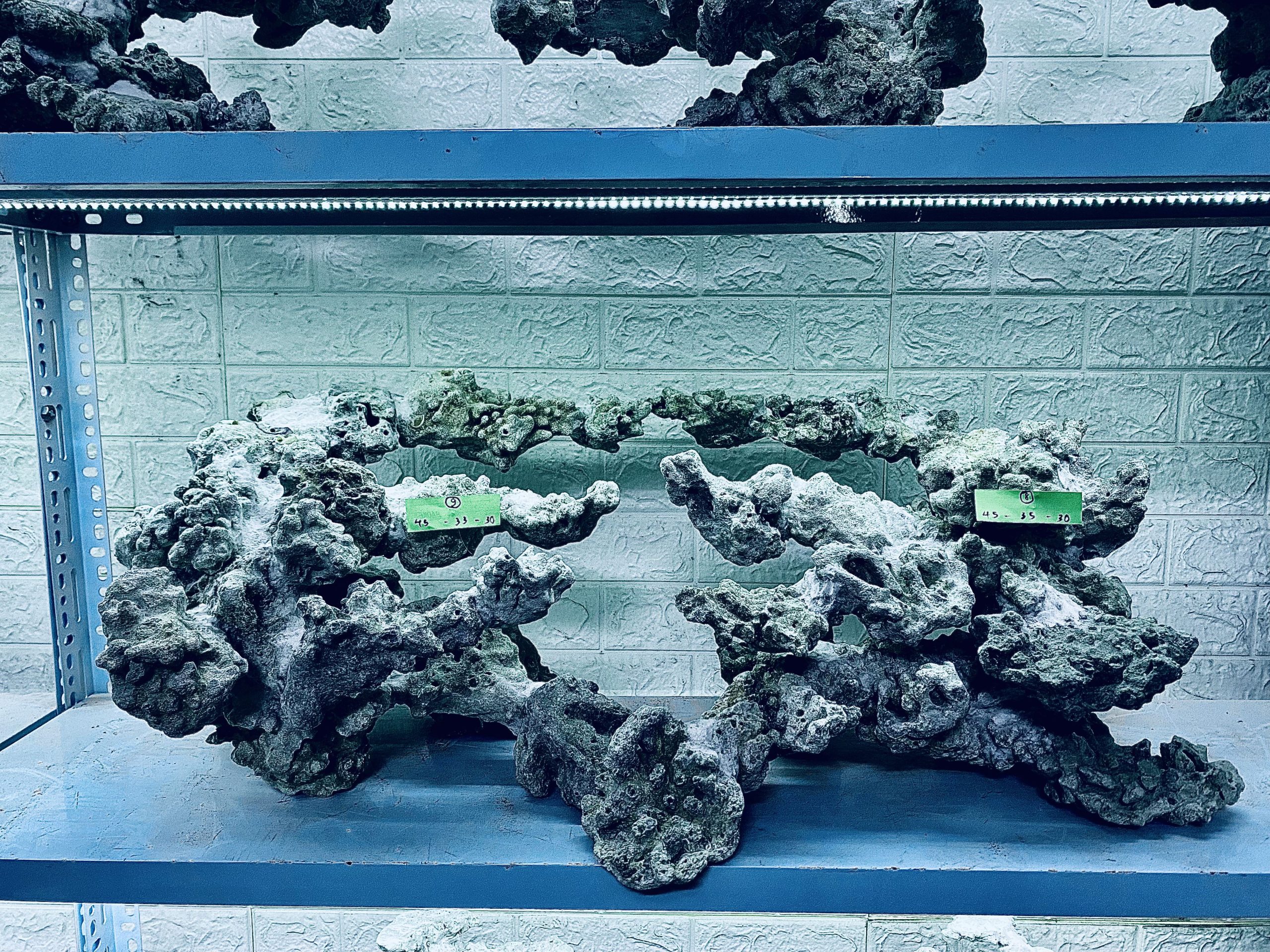 layout-ca-bien-royalaqua (132)