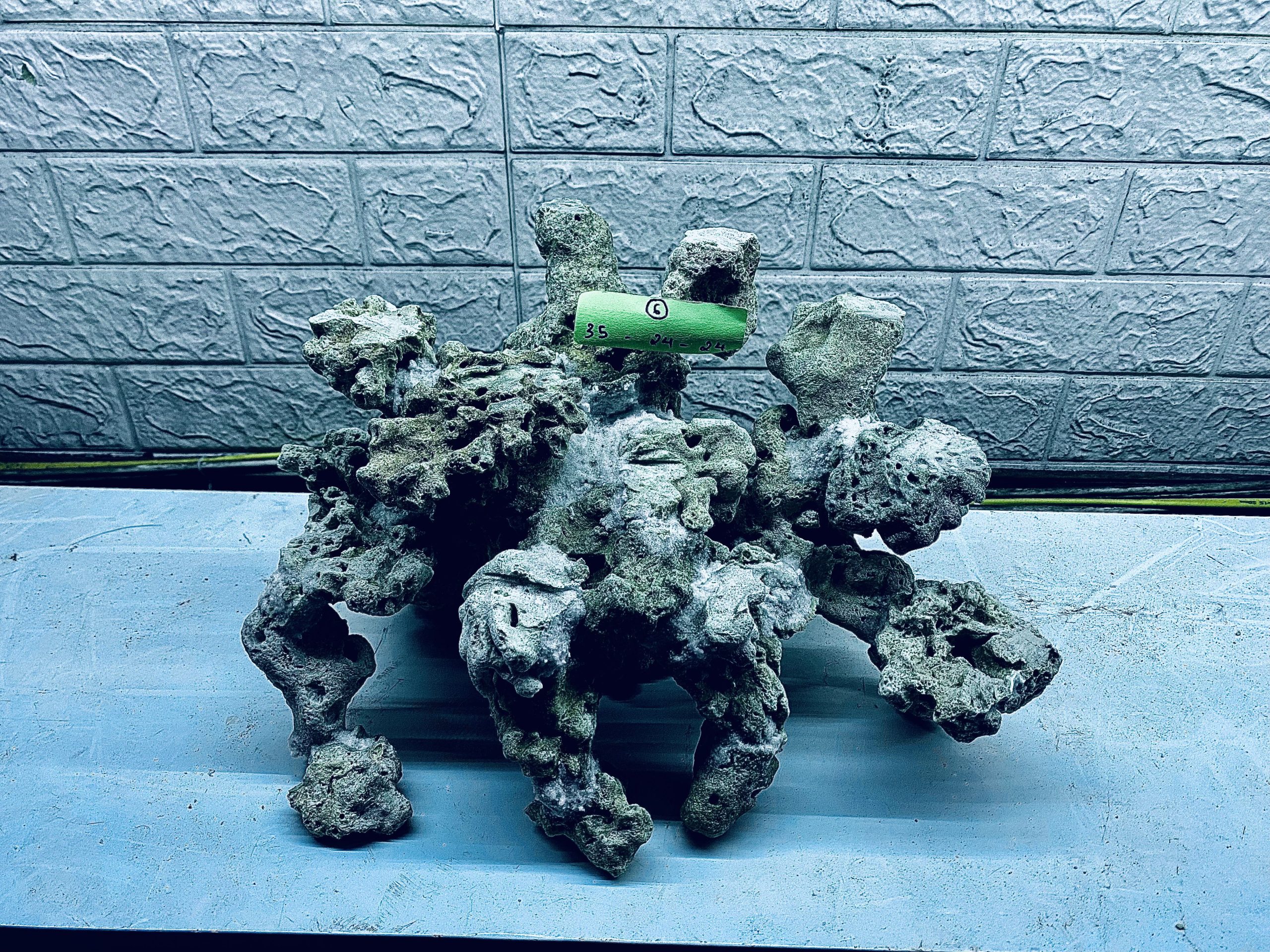 layout-ca-bien-royalaqua (140)