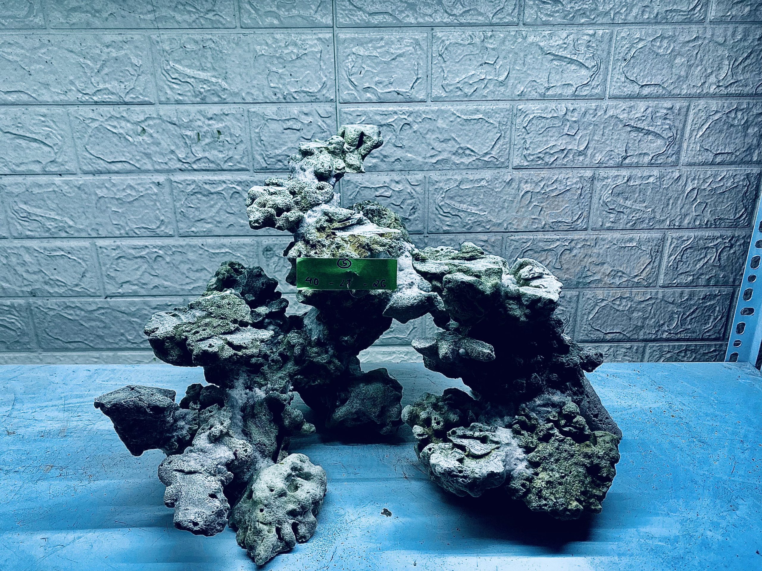 layout-ca-bien-royalaqua (143)