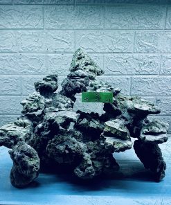 MÃ 307 - LAYOUT CÁ CẢNH BIỂN BỂ 50CM - ROYALALQUA