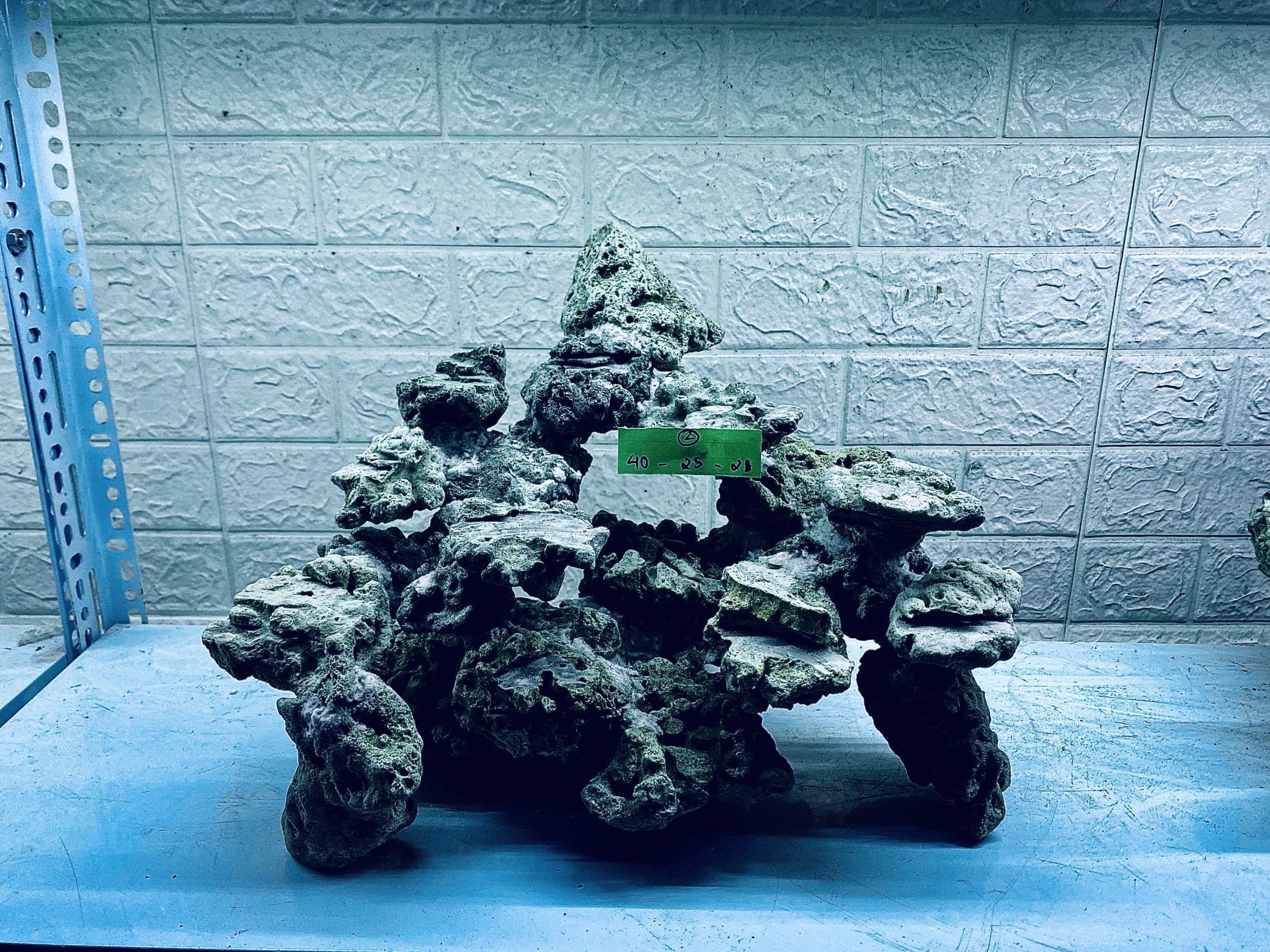 layout-ca-bien-royalaqua (144)