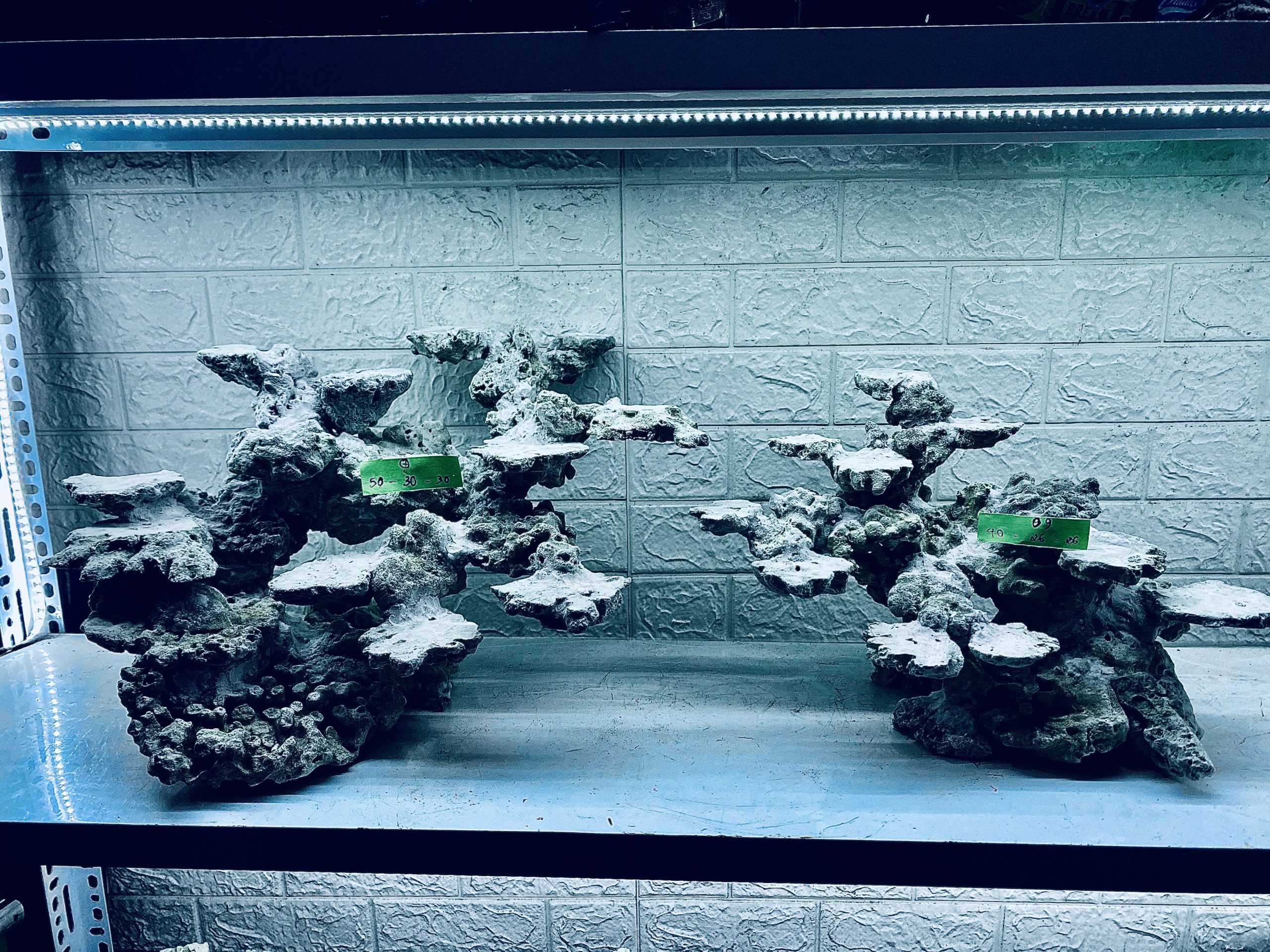 layout-ca-bien-royalaqua (145)