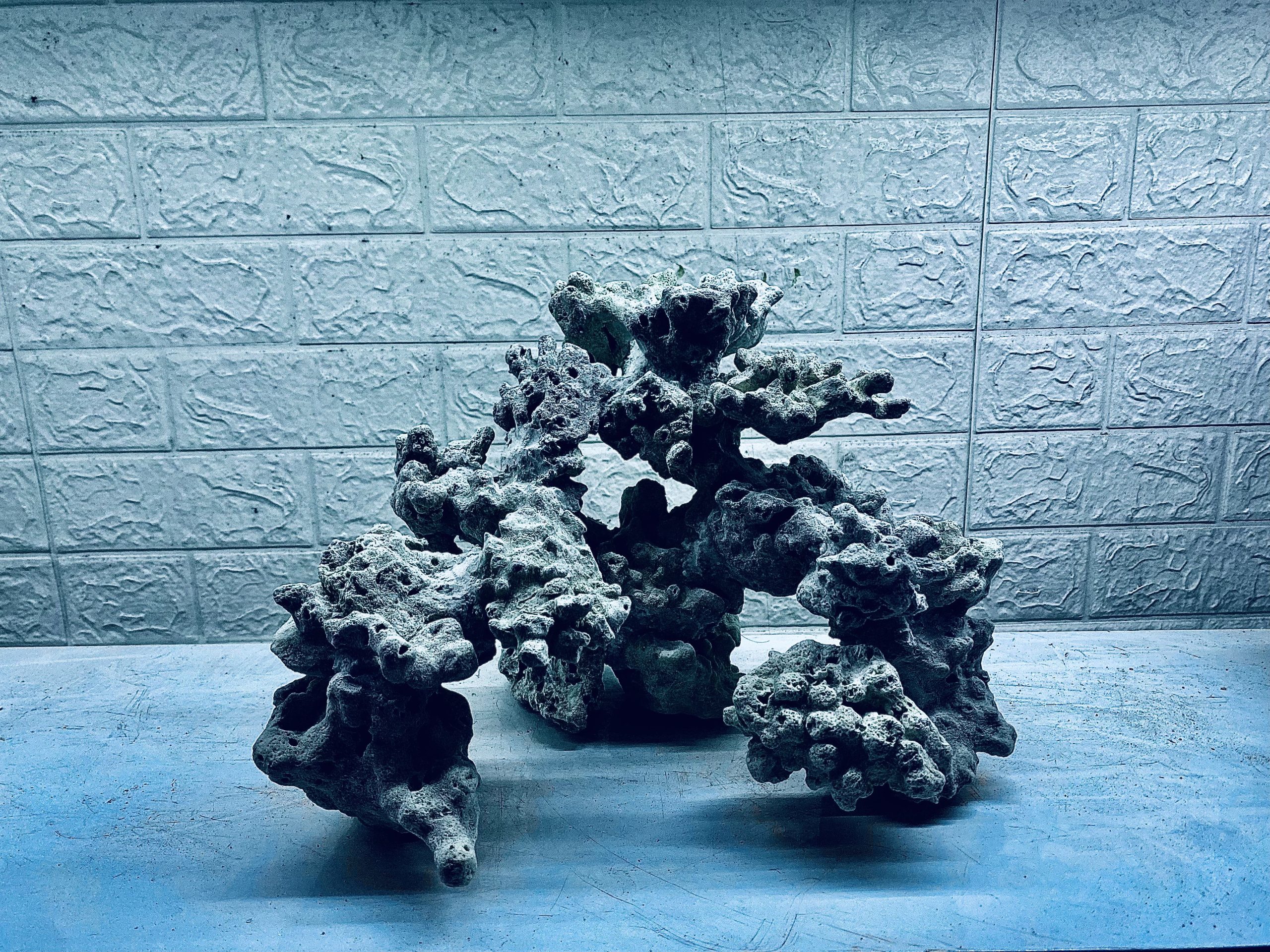 layout-ca-bien-royalaqua (154)