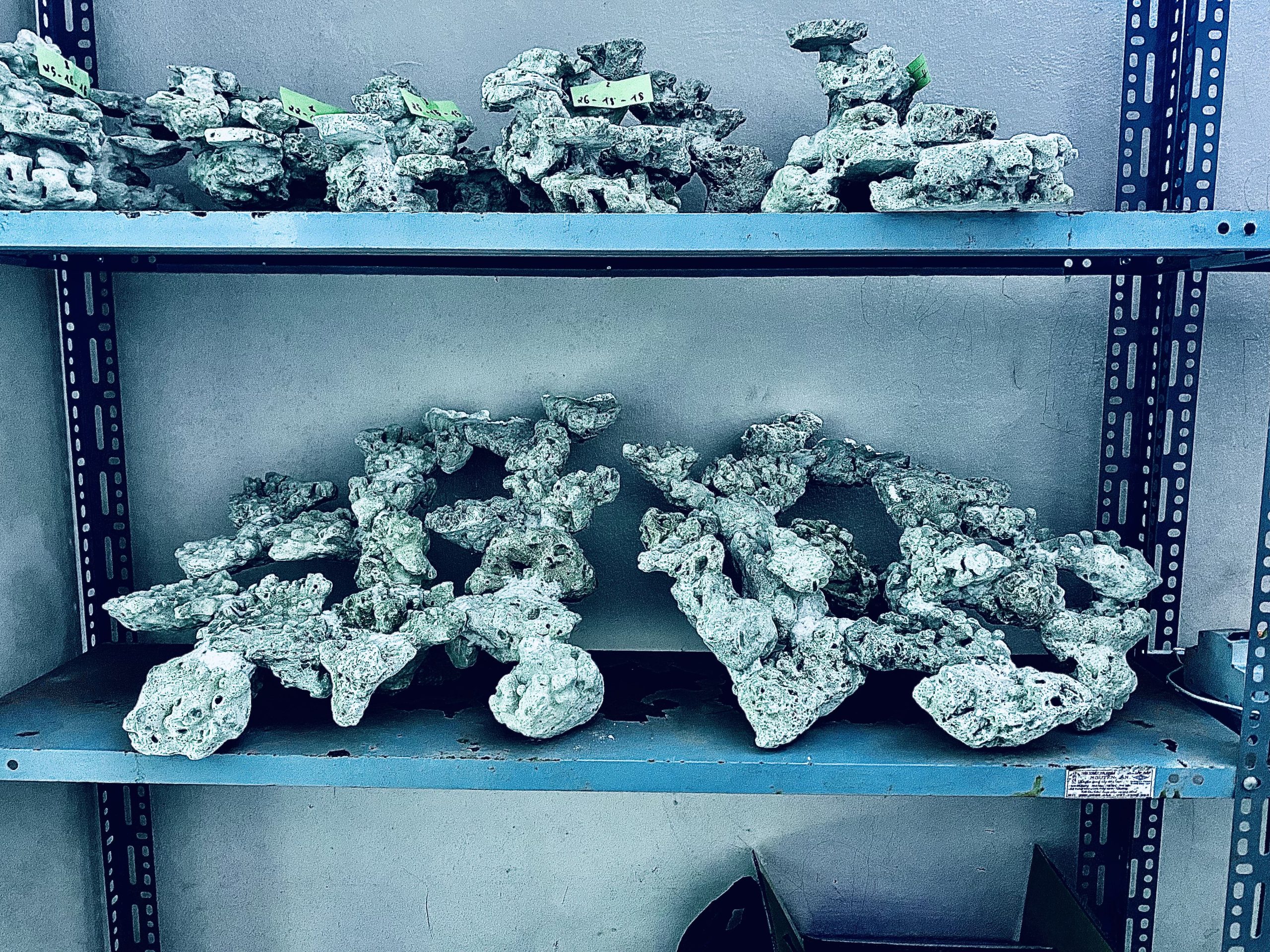 layout-ca-bien-royalaqua (158)