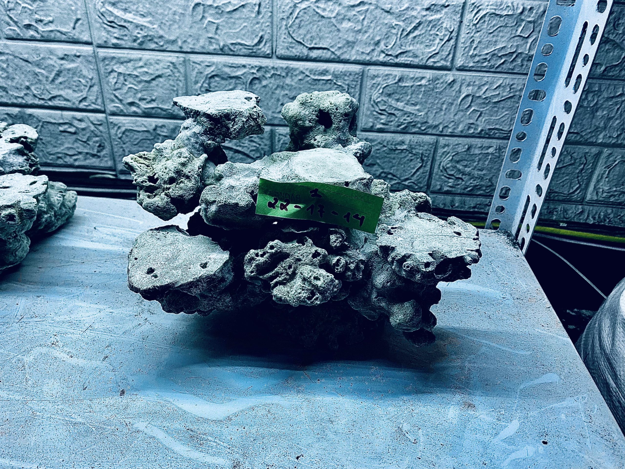 layout-ca-bien-royalaqua (163)