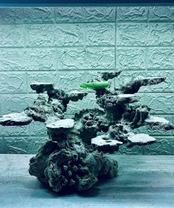 MÃ 317 - LAYOUT CÁ BIỂN BỂ 60CM - ROYALAQUA