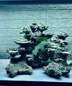 MÃ 318 - LAYOUT CÁ BIỂN BỂ 60CM - ROYALAQUA