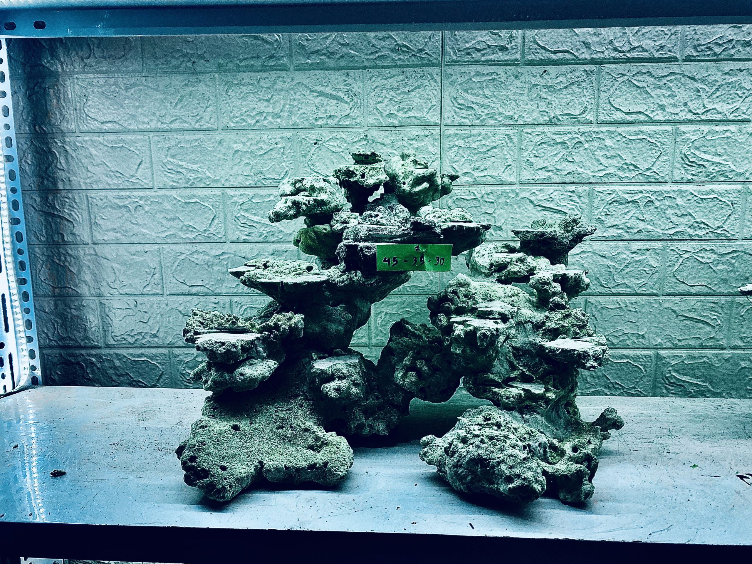 layout-ca-bien-royalaqua (175)